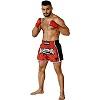 FIGHTERS - Muay Thai Shorts / Elite / Albanien-Shqipëri