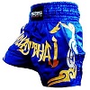 FIGHTERS - Pantalones Muay Thai / Azul-Oro