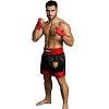 FIGHTERS - Muay Thai Shorts / Albanien-Shqipëri / Schwarz