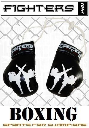 FIGHT-FIT - Mini Guantoni da Boxe / Fighters / Nero