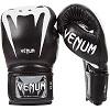 VENUM - Gants de Boxe